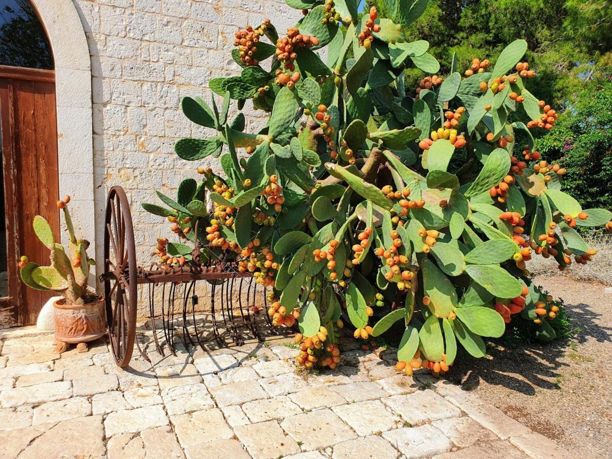 Masseria Agrituristica Lama San Giorgio Rutigliano Luaran gambar