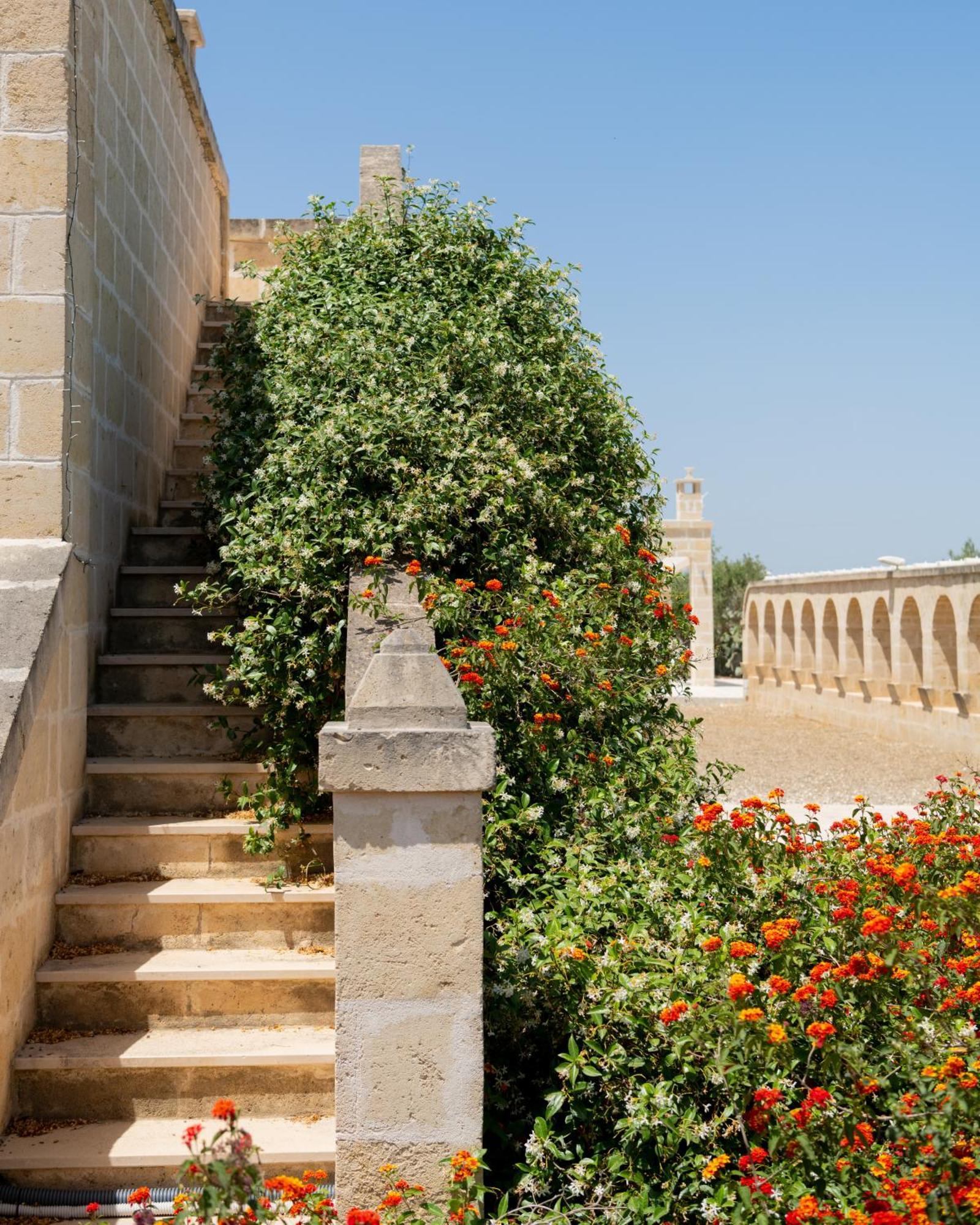 Masseria Agrituristica Lama San Giorgio Rutigliano Luaran gambar